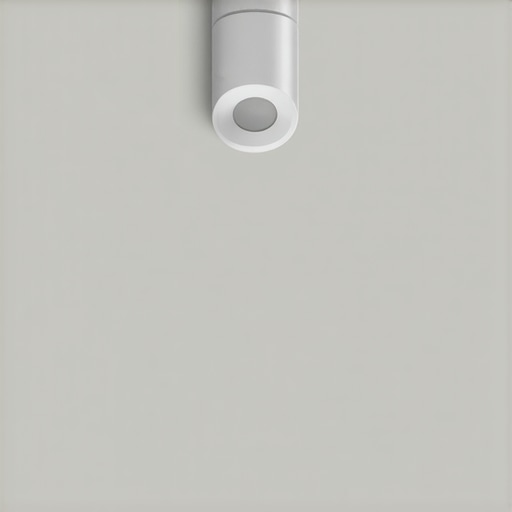 Magnetic Ceiling Mounts for Apartments [Zero Screws]